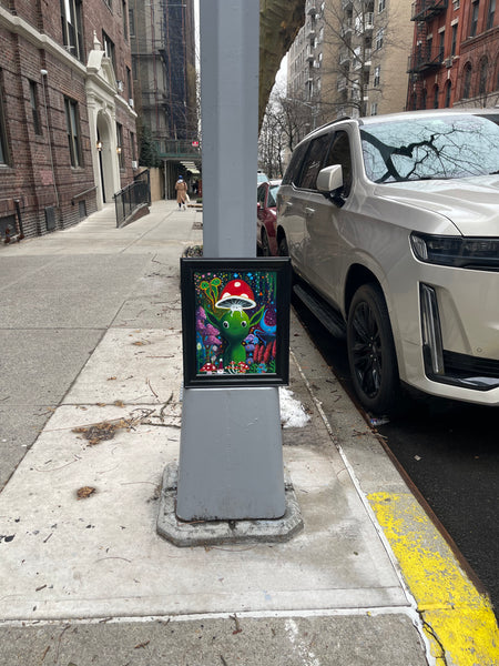 Momo’s Magic Forest